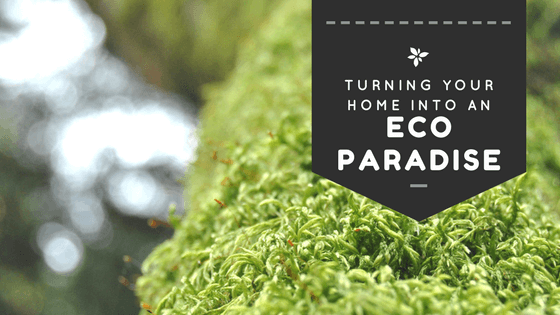 How to Turn Your Home Into an Eco-Friendly Paradise