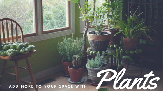 Add More to Your Space With Plants